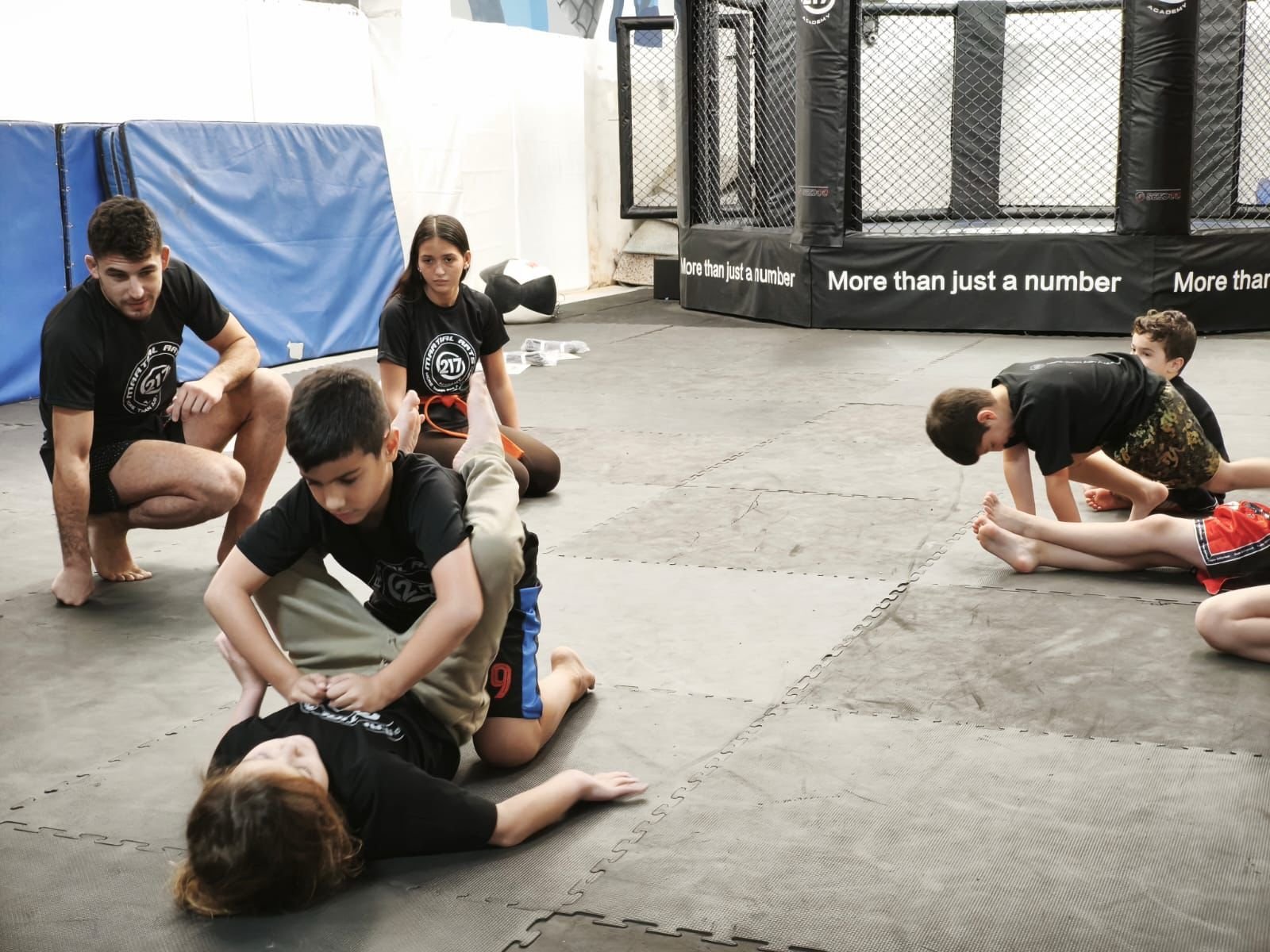 [תמונה של ג'יו ג'יטסו]