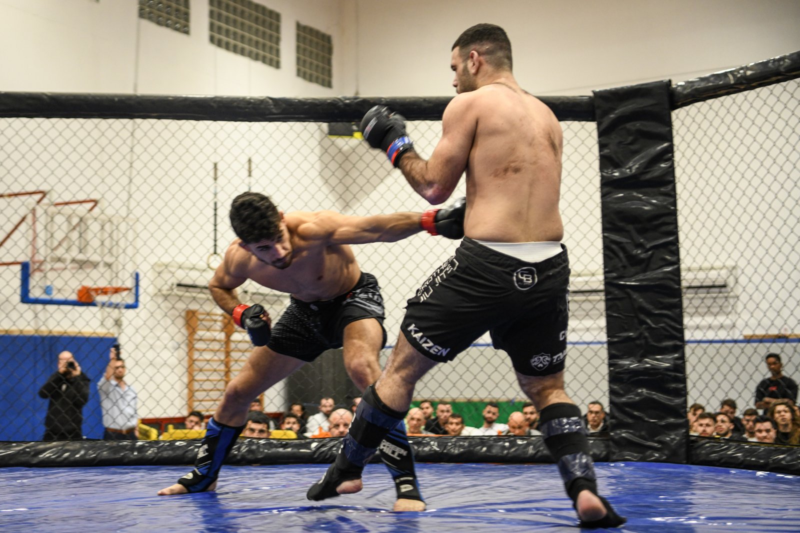 [תמונה של MMA]